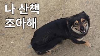 거 참 산책가기 좋은 날씨구만