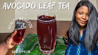 HOW TO MAKE AVOCADO LEAF TEA | BENEFITS AND SIDE EFFECTS OF AVOCADO LEAF TEA