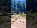 Neelam Valley #nature #viral #shortsvideos
