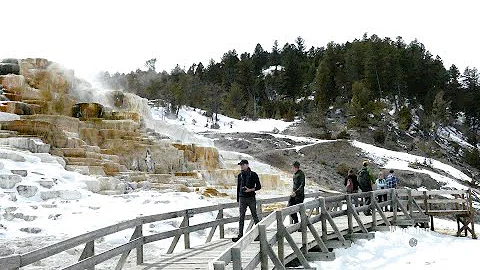 Yellowstone Superintendent Cam Sholly, Part 2