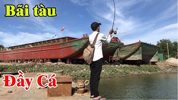 Vào bãi đóng tàu khổng lồ câu cá chép bông | Cá trốn dưới gầm tàu | THÚ VUI MIỀN TÂY. Tập 347