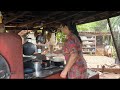 Rotina da roça fiz um frango caipira com verduras 🥬 no fogão a lenha 🪵 vida simples da roça 🧑🌾