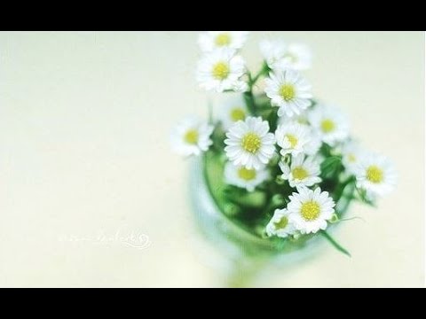 佛家故事：修口