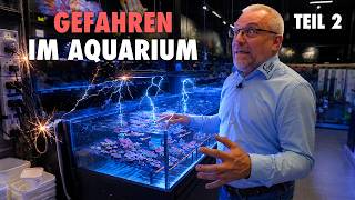 Noch mehr Gefahren in der MEERWASSERAQUARISTIK?! 🩸