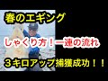 春エギング、一投の流れ。来たよ！！３キロアップ！