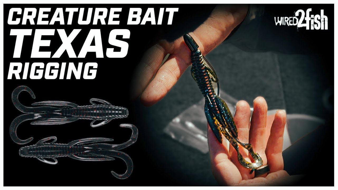 Why You Should Fish THIS Bait Over a Texas Rigged Worm YouTube