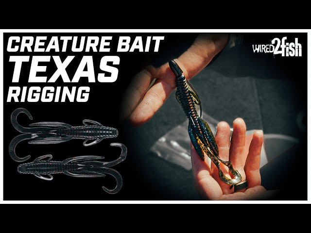 The Texas Rig  How to Rig and Fish - Wired2Fish