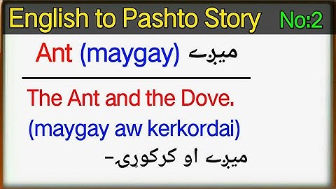 Learn Pashto through story lesson 2 |  learn pashto language | english to pashto learning