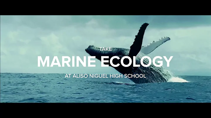 Stirtz Lab Marine Ecology Course Preview