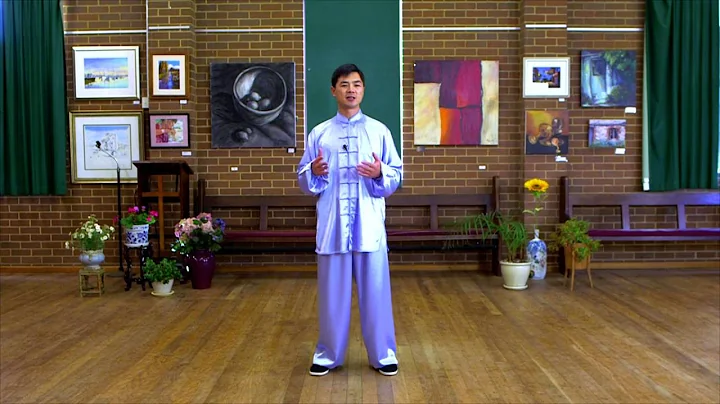 Tai Chi 24 Form Step by Step Instructions (Paragra...