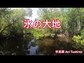 氷の大地-手嶌葵 Aoi Teshima 歌詞