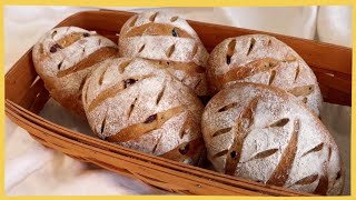 Sourdough Cranberry Walnut Bread / Sourdough Bread 사워도우빵 / 천연발효 크렌베리 호두빵