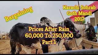 Cow Mandi 2017 | Karachi Sohrab Goth Mandi 2017 | Video 27
