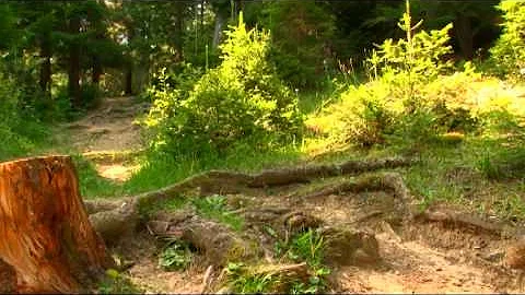 Mănăstirea Agapia (partea II-a) - documentar TRINITAS