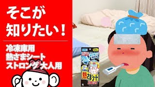 【そこが知りたい！】冷凍庫用 熱さまシートストロング 大人用