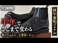 【黒のRedwing】チェルシーを半年育てた結果…