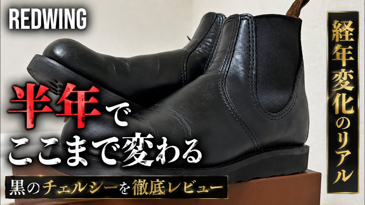 【黒のRedwing】チェルシーを半年育てた結果…