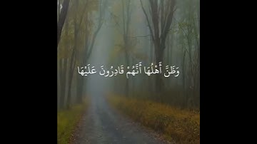تلاوة خاشعة بصوت القارئ ياسر الدوسري | حَتَّىٰ إِذَا أَخَذَتِ الْأَرْضُ زُخْرُفَهَا