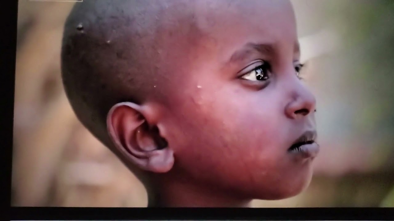 Mass displacement in Tigray