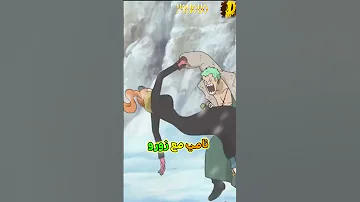هذا هو رأي أعضاء طاقم قبعة القش في زورو 