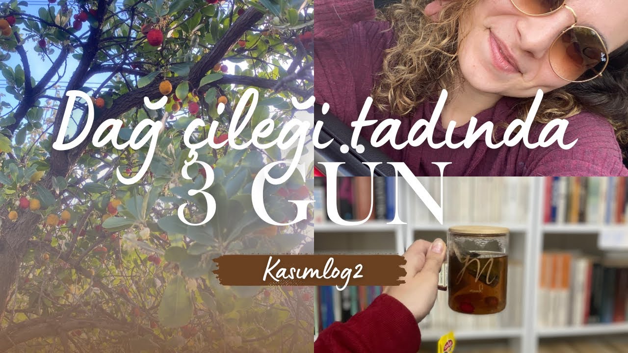 KPSS Kitap Alışverişi, Dağ Çileği ve 3 Günlük Hayat 🍓| kasımlog2