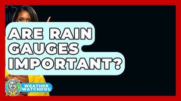 Are Rain Gauges Important? - Weather Watchdog
