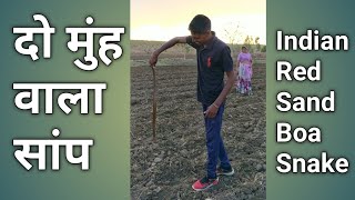 दो मुंह वाला सांप।Two Mouth Snake| Indian Red Sand Boa Snake