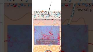 Sẵn hàng test cho các chủ Spa #myphamchospa #yenmyphamchospa #skincare #prebiotics