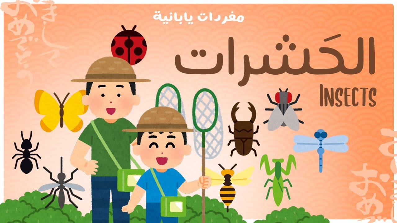 الحشرات - Insects - مفردات يابانية