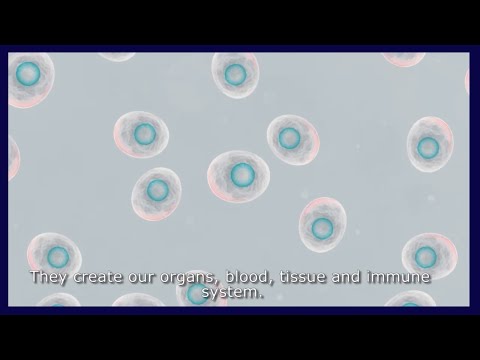 Video: Semnalizarea Celulară Dependentă De Forță în Diferențierea Celulelor Stem