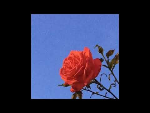 (FREE) Lofi Type