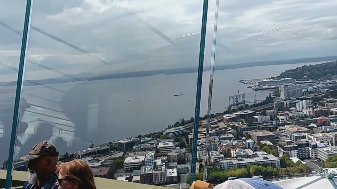seattle downtown from the top of space needle