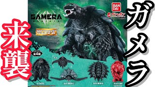 Gachapon] HG Gamera 2023 [This quality is insane] Unboxing