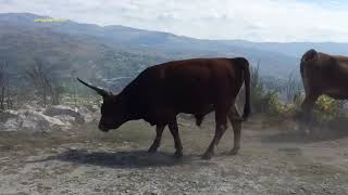 Serra do Soajo