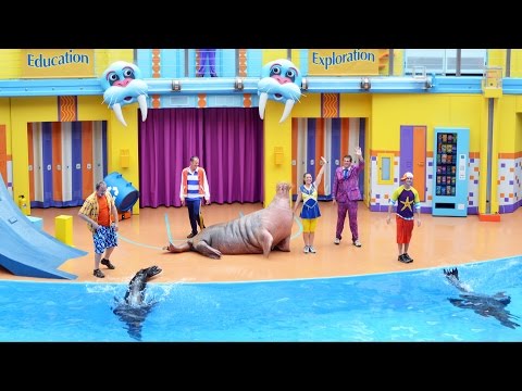 Clyde &amp; Seamore&#039;s Sea Lion High Debuts at SeaWorld Orlando - Premiere Show Highlights