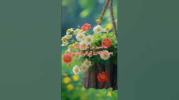 ما تيسر من سورة النمل بصوت القارئ الراقي أبو عمران