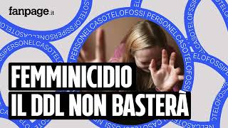 Il ddl femminicidio non basterà contro la violenza sulle donne - Nel Caso Te Lo Fossi Perso Ep89