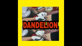 DANDELION BIRDS FREEDOM PINTADOS VLOG