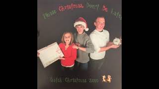 Chipmunks Song/Please Christmas, Don't Be Late 2010 - Mike Gatch Family