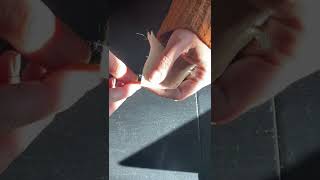 Advanced Sewing Hand Stitches- Temporary Stitches- Even Basting