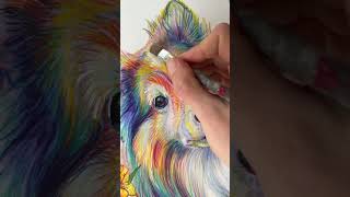 Sheltie with flowers #acrylicpaint #coloredpencil #art #dog #drawing #sheltie