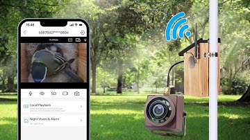 Long range wirless birdbox camera
