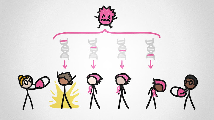 Why Haven't We Cured Cancer?