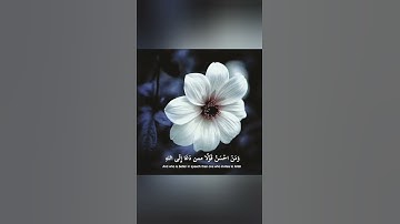 ومن احسن قولا ممن دعا الى الله🌿حالات واتس اب قران🍁آيات قرانية قصيرة❤ستوريات انستقرام🌹 Quran status
