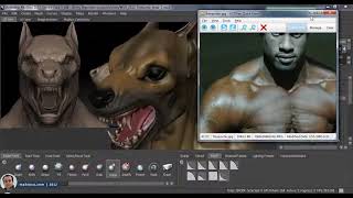 Sculpting and Painting a Fantasy Wolf Base Mesh in Mudbox - Part 2/3