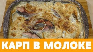 НЕЖНЫЙ КАРП В МОЛОКЕ, ПРОСТОЙ РЕЦЕПТ #карп #рецепт #рыба НЕЖНЫЙ КАРП В МОЛОКЕ, ПРОСТОЙ РЕЦЕПТ #карп #рецепт #рыба