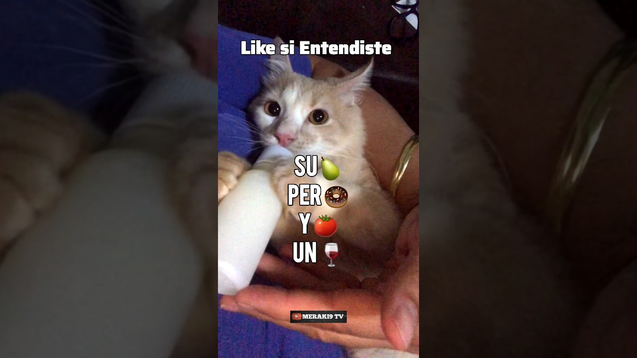 Like si Entendiste ❤️ | SUPERA🍵!