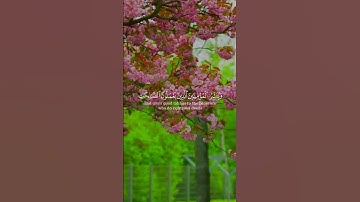 تلاوة هادئة تريح الأعصاب 😴🎧 القارئ: اسلام صبحى سوره: الإسراء 💙❤