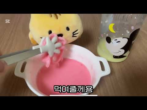 하루(?) 브이로그💖 