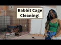 Rabbit Cage Cleaning! *Giveaway*